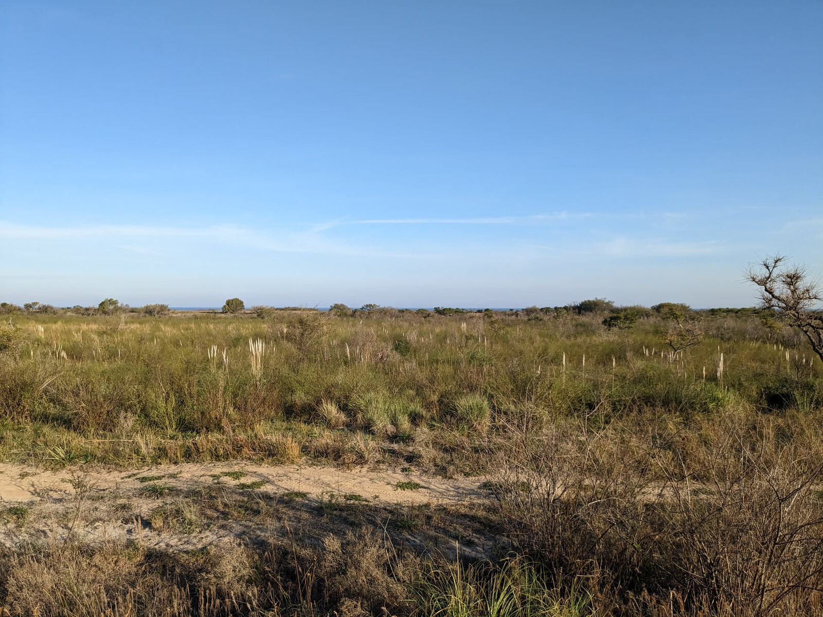 Offenes Campo — die landeinwärtige Bauzone